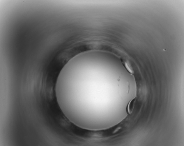 X0000089850525200707051117