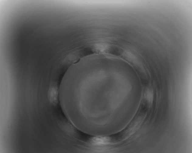 X0000089850526200707051117