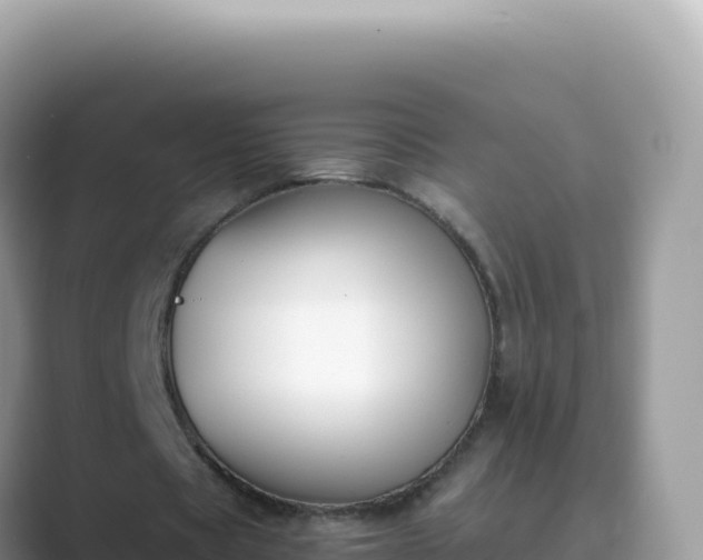 X0000089850529200707051117