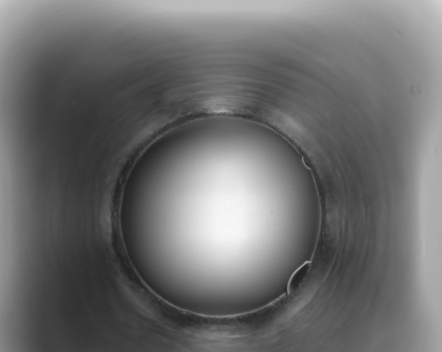 X0000089850530200707051117