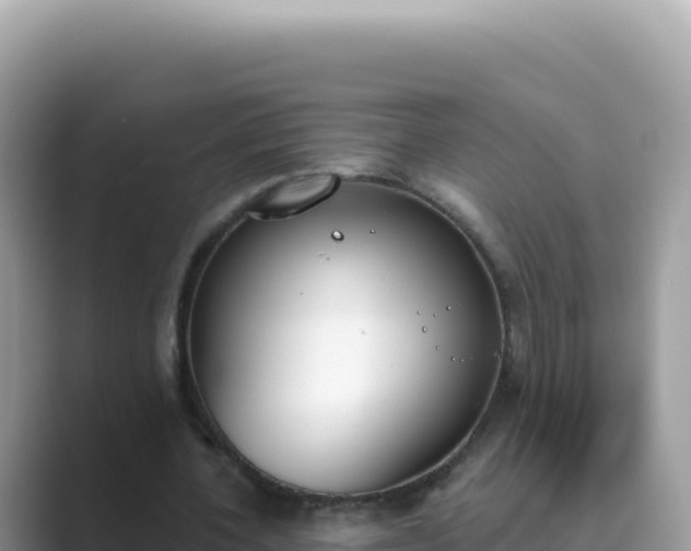 X0000089850532200707051117