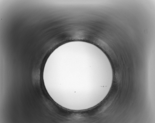 X0000089850534200707051117