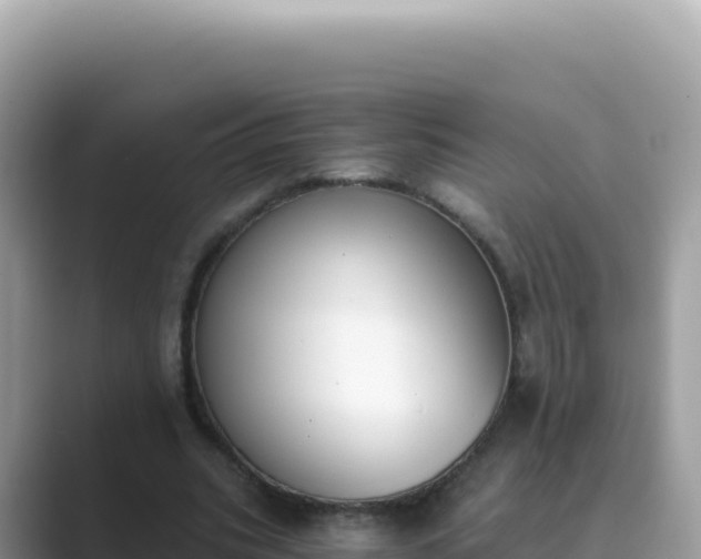 X0000089850535200707051117