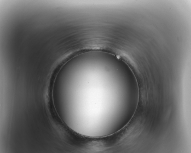 X0000089850536200707051117