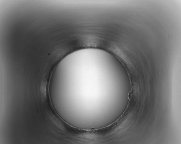 X0000089850537200707051117
