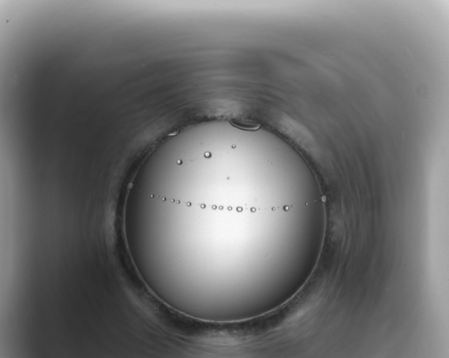 X0000089850538200707051117