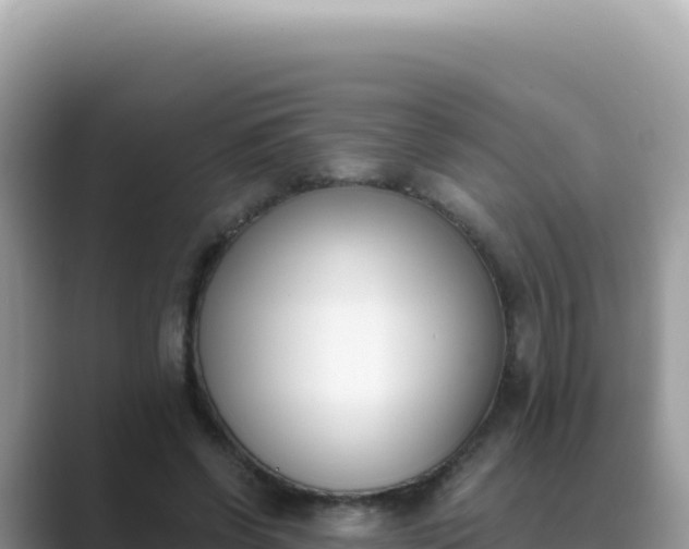 X0000089850542200707051117