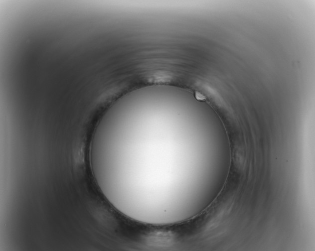 X0000089850543200707051117