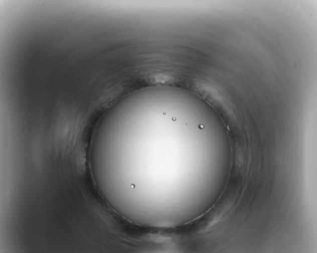 X0000089850545200707051117