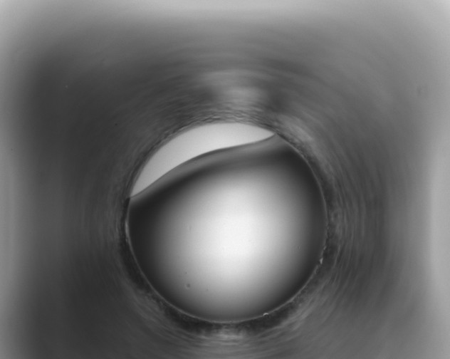 X0000089850546200707051117