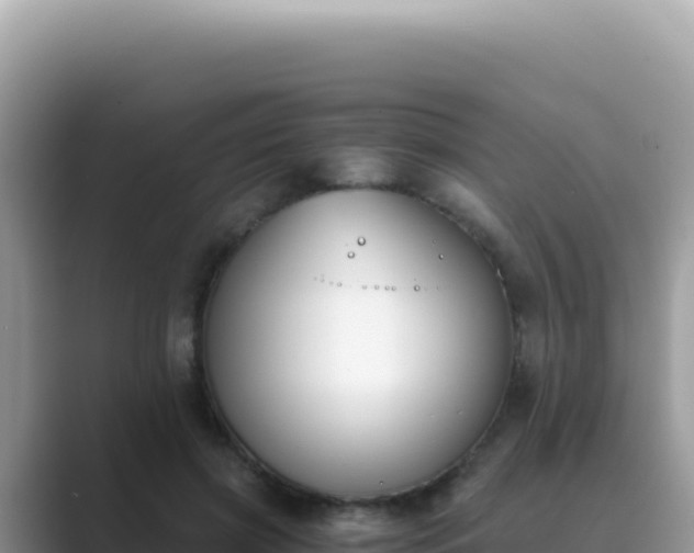 X0000089850549200707051117