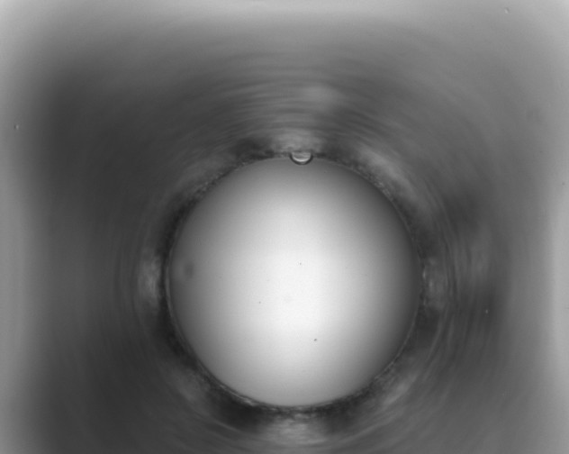 X0000089850550200707051117