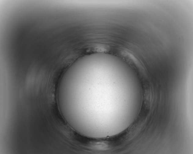 X0000089850553200707051117