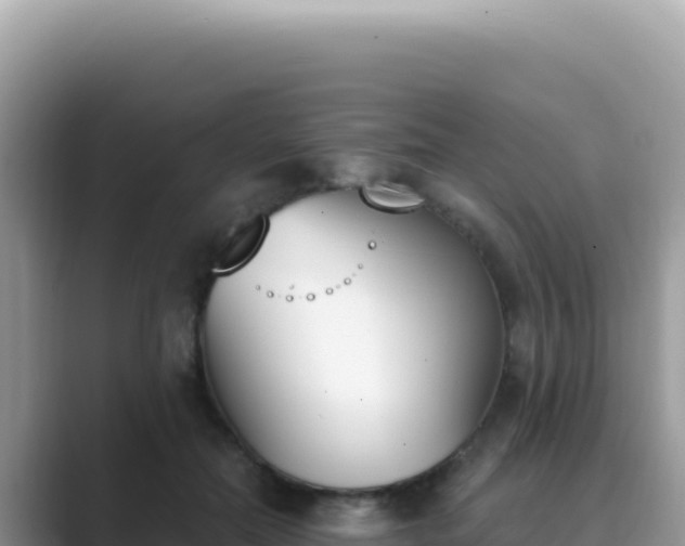 X0000089850554200707051117