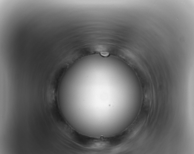X0000089850555200707051117