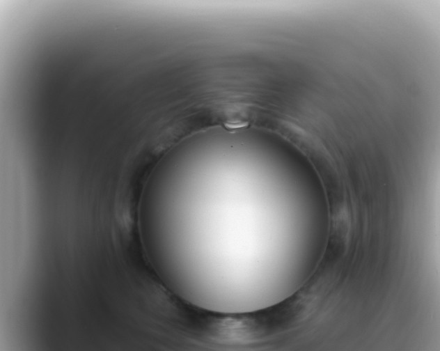 X0000089850566200707051117