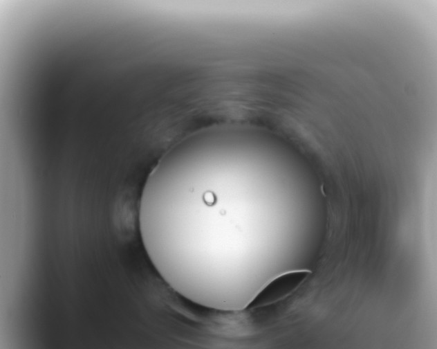 X0000089850576200707051117
