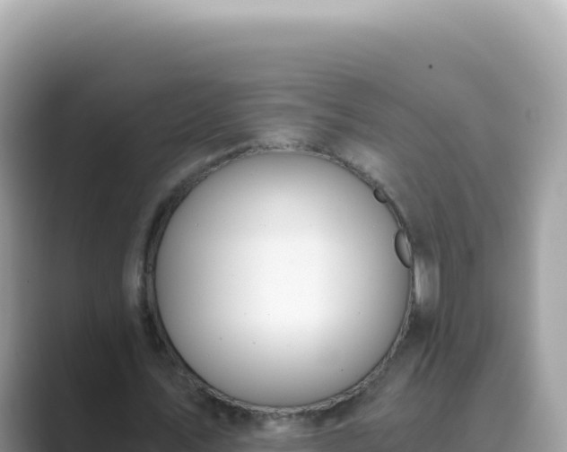 X0000089850579200707051117