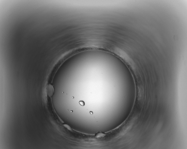 X0000089850580200707051117