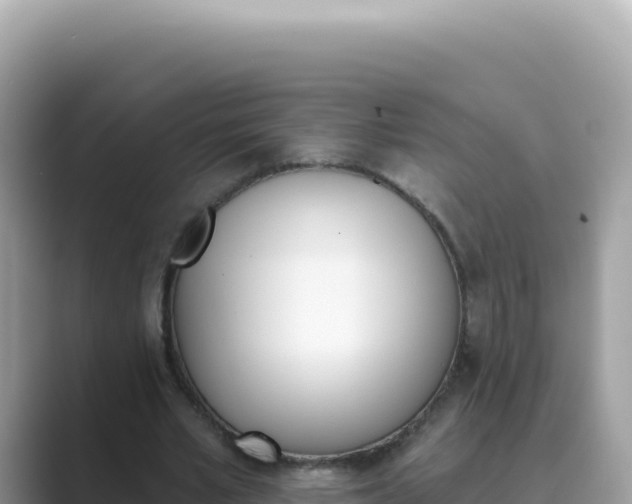 X0000089850581200707051116