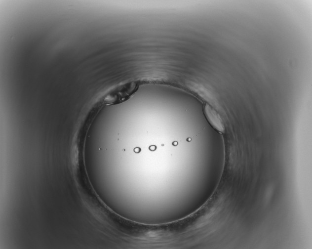 X0000089850584200707051116