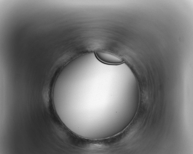 X0000089850586200707051116