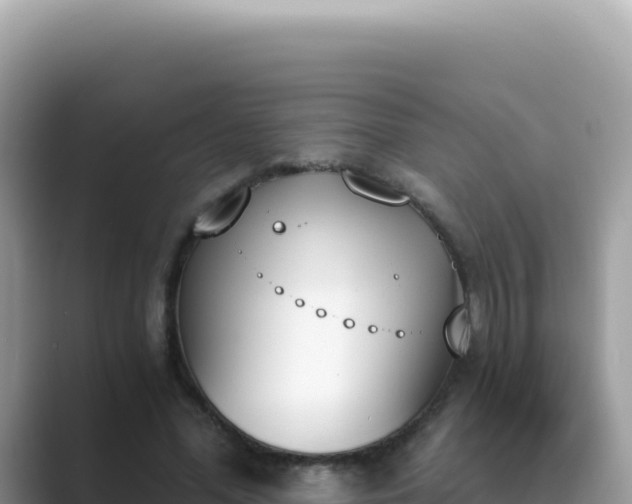 X0000089850588200707051116