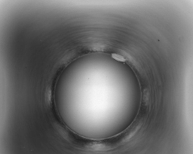 X0000089850589200707051116