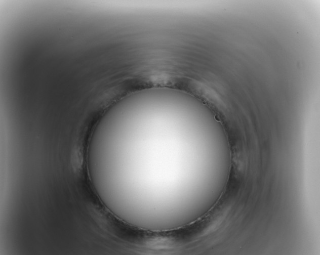 X0000089850593200707051116