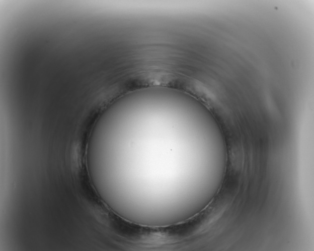 X0000089850594200707051116