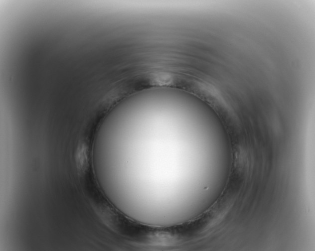 X0000089850598200707051116