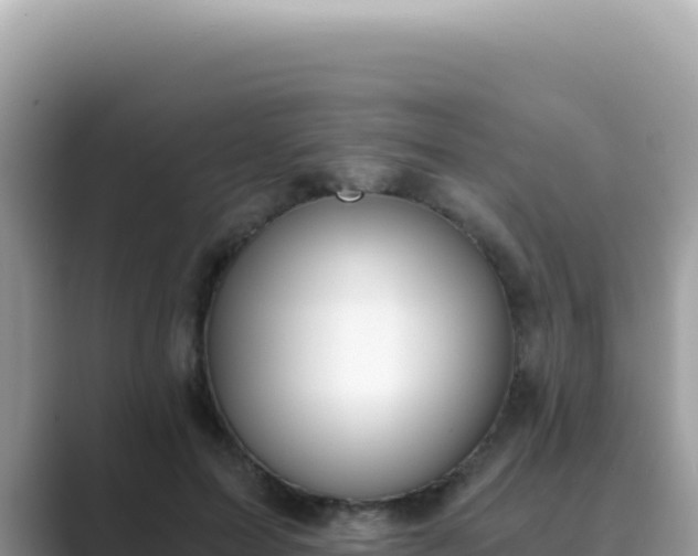 X0000089850599200707051116