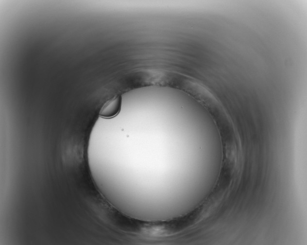 X0000089850602200707051116