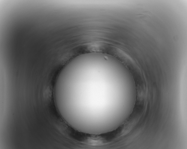 X0000089850603200707051116