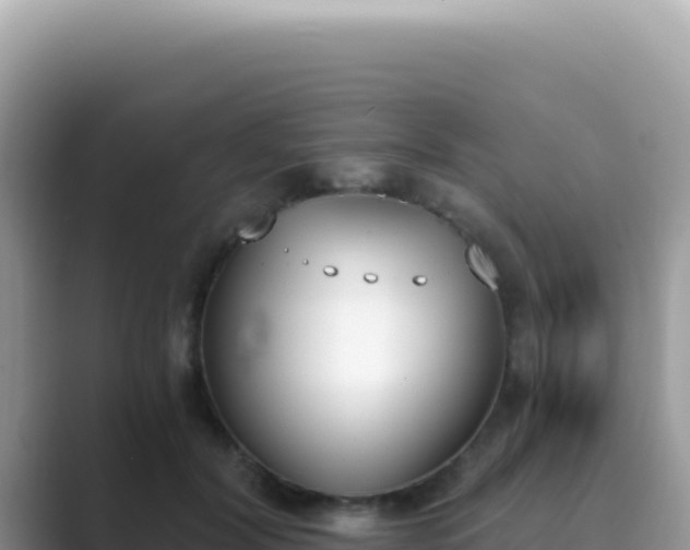 X0000089850604200707051116