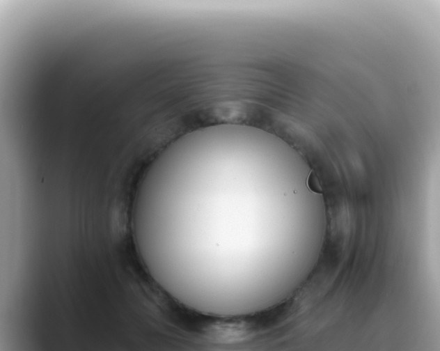 X0000089850606200707051116