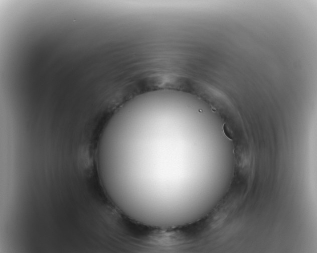 X0000089850607200707051116