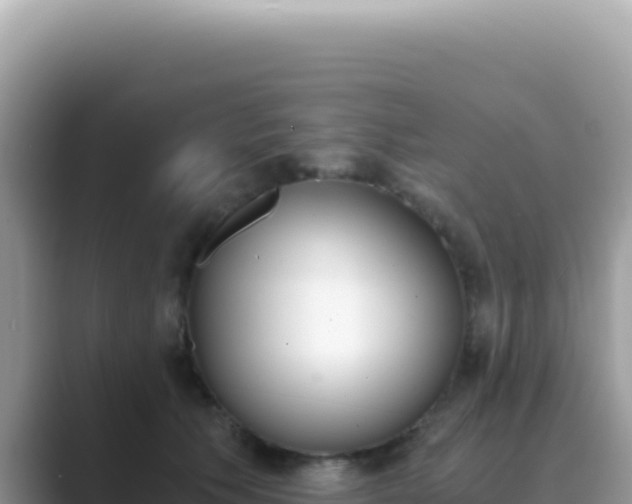 X0000089850609200707051116