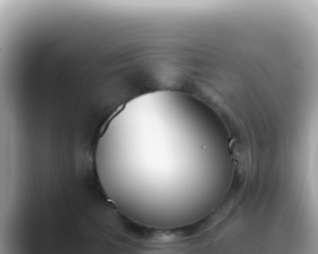 X0000089850613200707051116