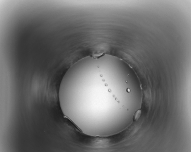 X0000089850617200707051116