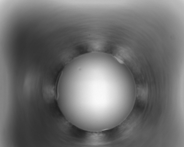 X0000089850621200707051116