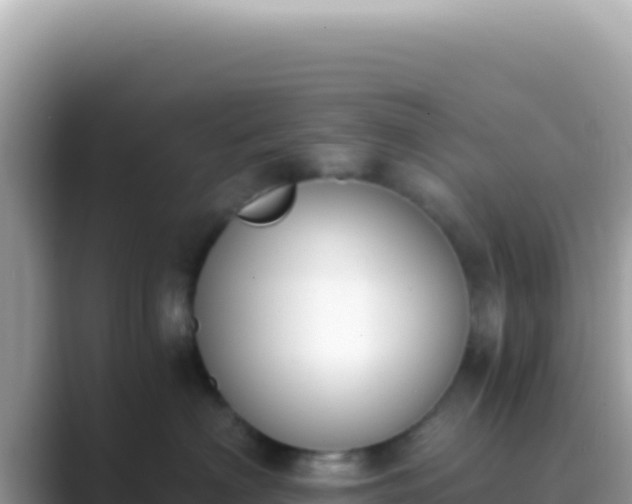 X0000089850622200707051116
