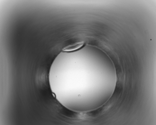 X0000089850623200707051116