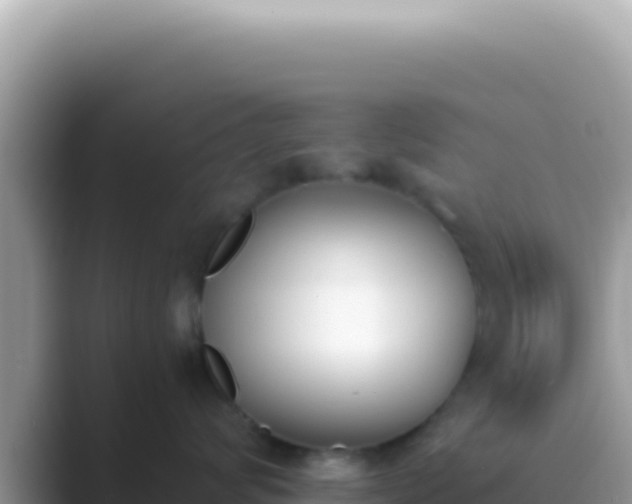 X0000089850624200707051116