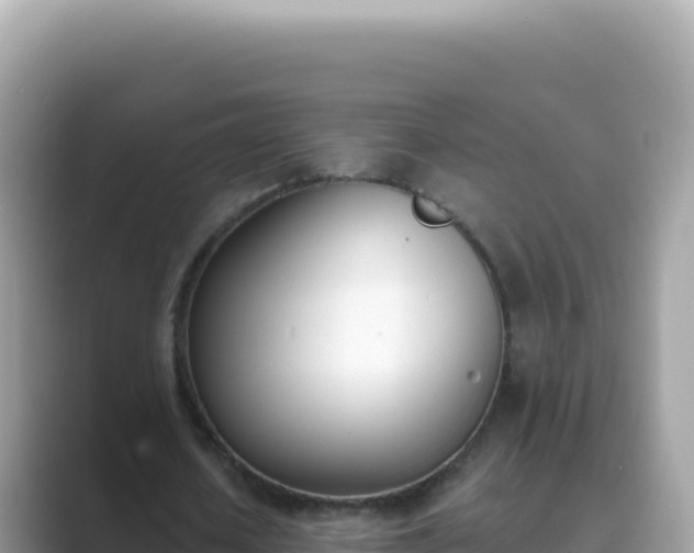 X0000089850626200707051115