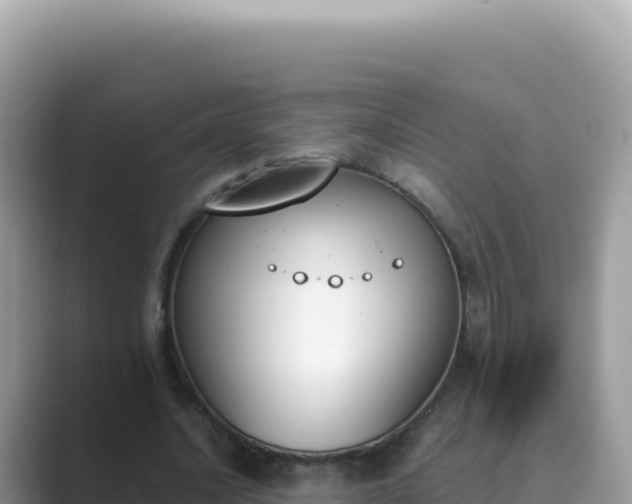 X0000089850628200707051115