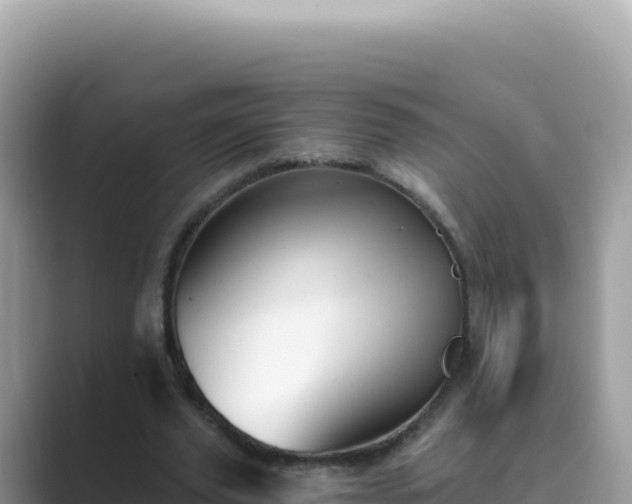 X0000089850629200707051115