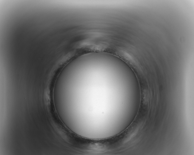 X0000089850634200707051116