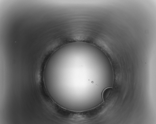 X0000089850635200707051116