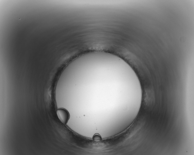 X0000089850636200707051116